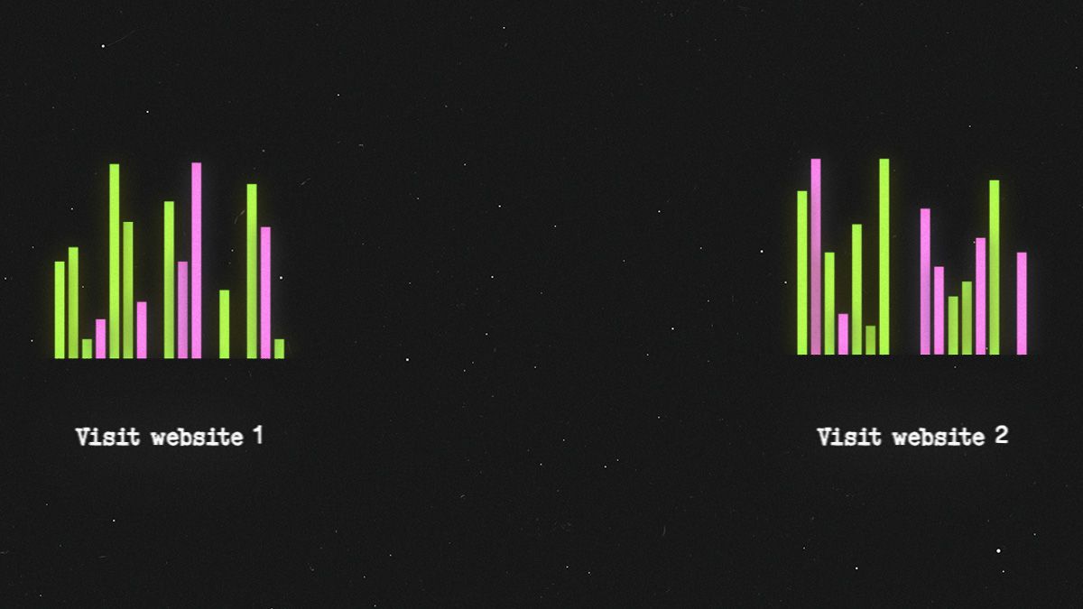 Bar graphs showing distinct network traffic patterns for Visit website 1 and Visit website 2 with green and pink vertical data bars.