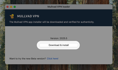 The Mullvad VPN loader, showing the version details and a highlighted button to download and install the Mullvad VPN app.