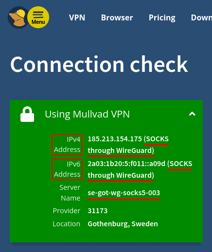 Mullvad connection check showing SOCKS5 IPs